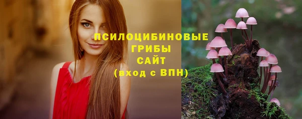 apvp Волоколамск