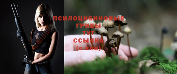 гидропоника Володарск