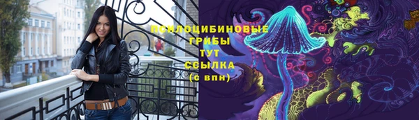 apvp Волоколамск