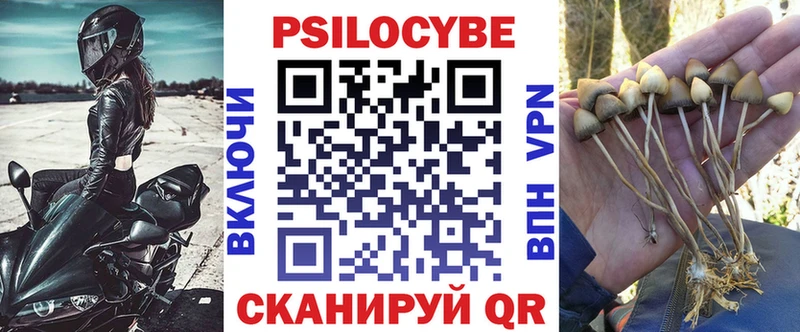 Псилоцибиновые грибы Psilocybine cubensis  купить  сайты  Гулькевичи 